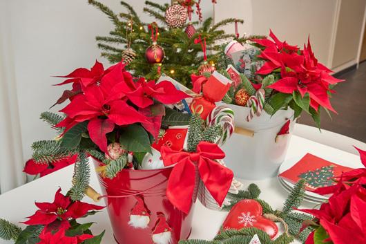 ��������� � ������� ������